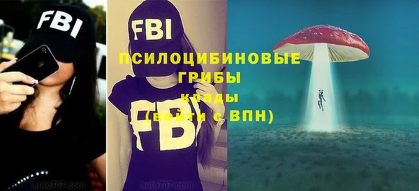 амф Долгопрудный