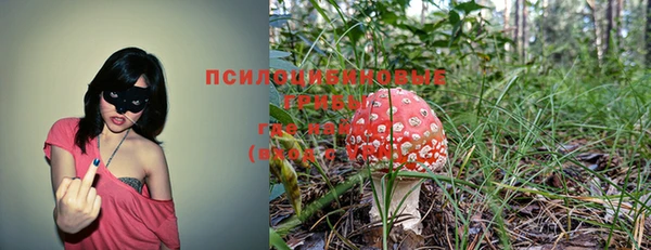 ALPHA-PVP Кулебаки