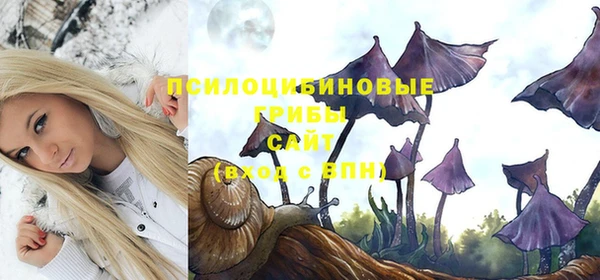 таблы Кукмор